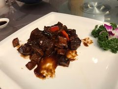 -常州环球恐龙城维景国际大酒店