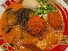 -豚王拉面(铜锣湾店 )