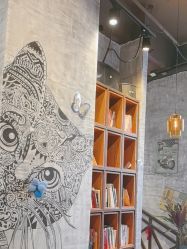 -T.1 hair salon烫染接发