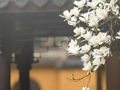 -龙华寺