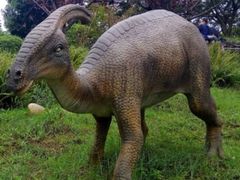 -自贡恐龙博物馆