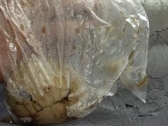 -金盆阿嬷香菇茶叶蛋(玄光店)