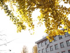 -四川大学(华西校区)