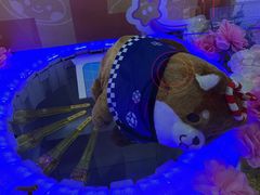 -环游嘉年华(广州-天河城店)