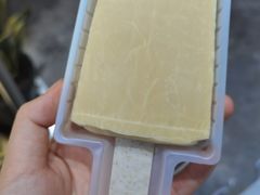 -钟薛高(南头古城店)