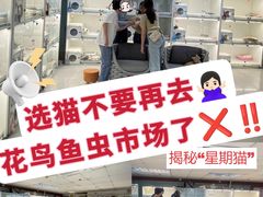 -lincat·猫舍(广州店)