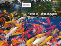 -下海庙