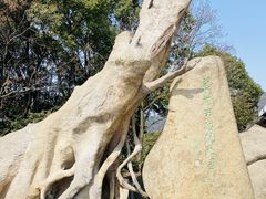 内景-宝岩生态观光园