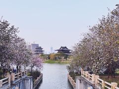 -海珠湖公园