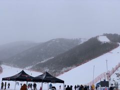 -密苑云顶乐园(云顶滑雪场)
