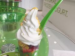 -Salud撒露欧洲冻酸奶(北苑上品店)