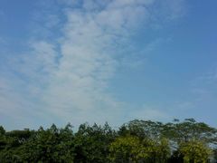 -火炉山森林公园