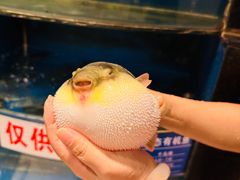 -永安鱼庄·镇江菜(东吴路店)