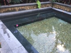 -厦门日月谷温泉渡假村