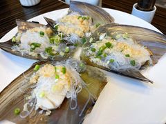 带子-新海利(北岭店)