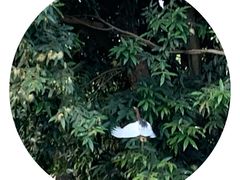 -荔枝公园(福田区)