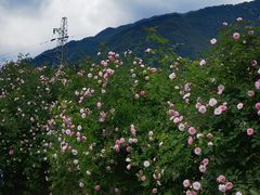 -太阳湾风景区