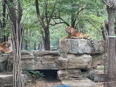 -秦皇岛野生动物园
