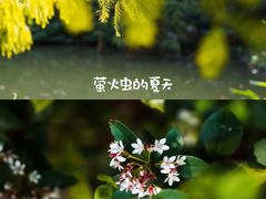 -中国科学院华南植物园