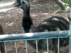 -广东茂名森林公园