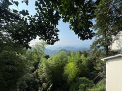 -莫干山风景区