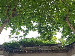 -苏州园林博物馆