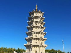 -嘉荫恐龙国家地质公园