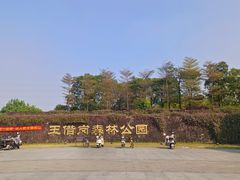 -王借岗森林公园