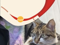 -铜瓢江湖兔火锅(水碾河社区店)