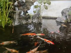 -道南書院·私房菜·早午茶·茶馆