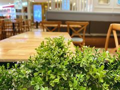 -满记甜品(北城天街二店)