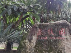 -攀枝花公园