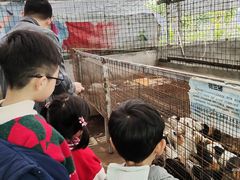 -新地休闲农场