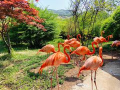 -青岛森林野生动物世界