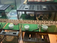 -中环花鸟鱼虫市场