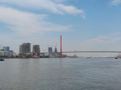 -丹东路渡口(轮渡站)