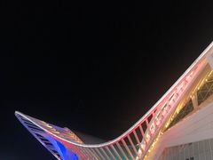 -第35届青岛国际啤酒节