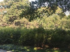-洛阳市隋唐城遗址植物园