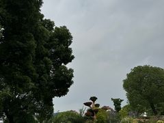 -七宝老街-闵行市民文化广场