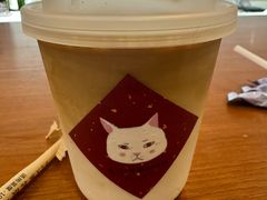 -有猫主题·治愈系猫咖(曾厝垵店)