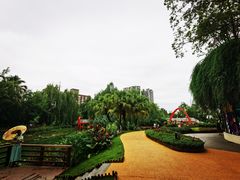 -雲记卢妈冷锅串串(中道街总店)