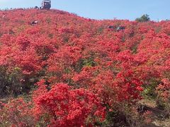-瑞安圣井山景区
