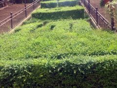 iphone_upload_pic-昆明动物园