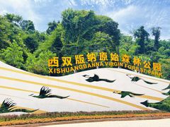 -西双版纳原始森林公园