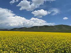-青海湖国家重点风景名胜区