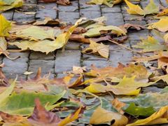 -西安电影制片厂