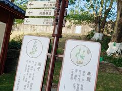 -珠海圆明新园