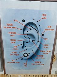 -AI艾耳·专业手工耳洞·穿孔美学馆