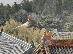 -潭柘寺景区