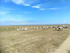 -青海湖国家重点风景名胜区